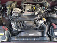 JDM Hilux Surf Diesel Turbo : Engine bay